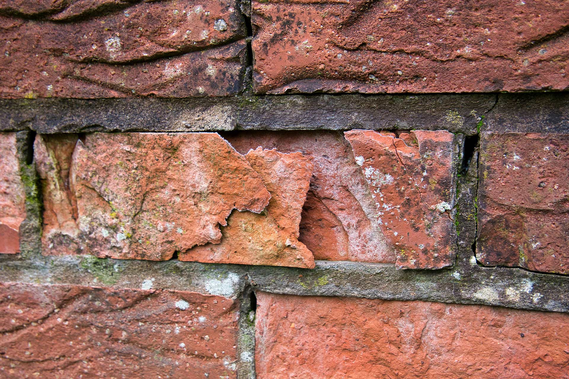 Repointing & Maintenance project 3