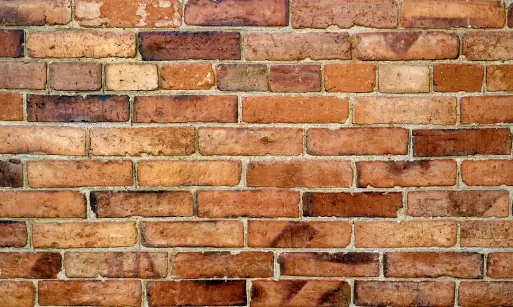 Repointing & Maintenance project 4