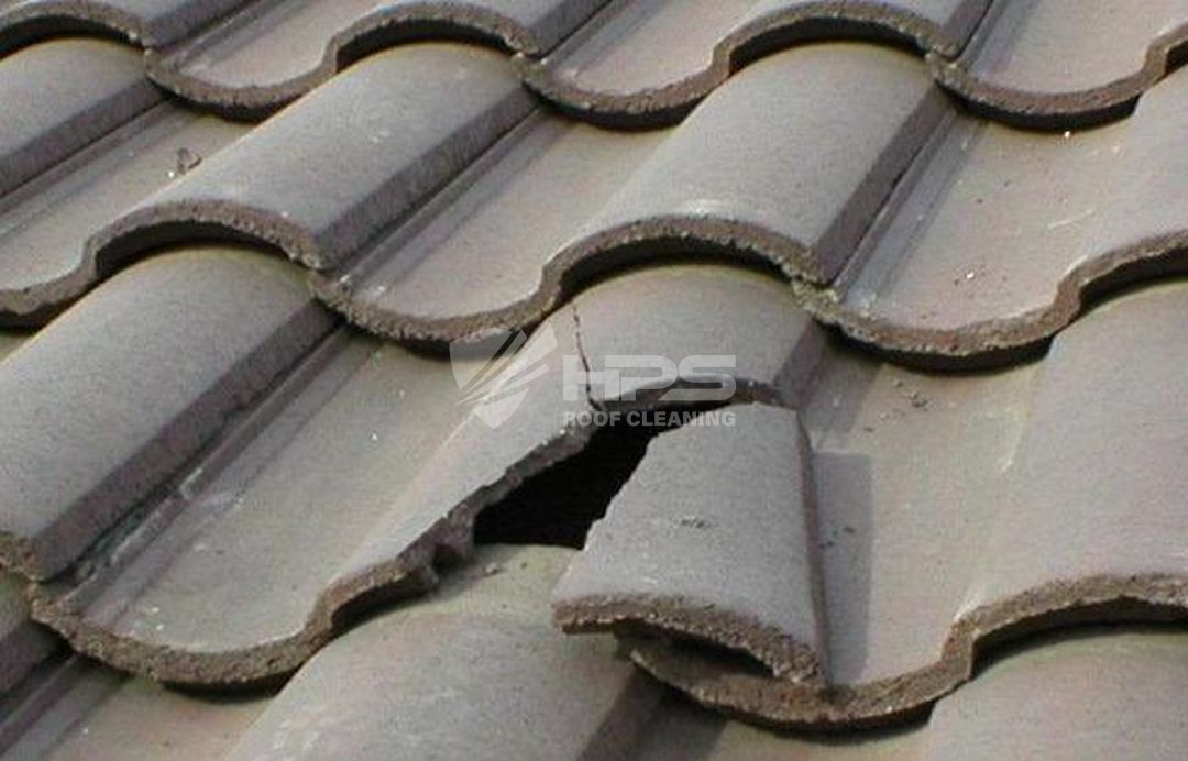 Roof Repairs project 13