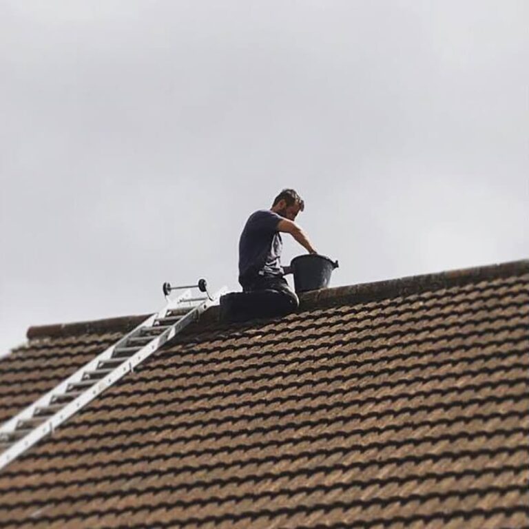 Roof Repairs project 4
