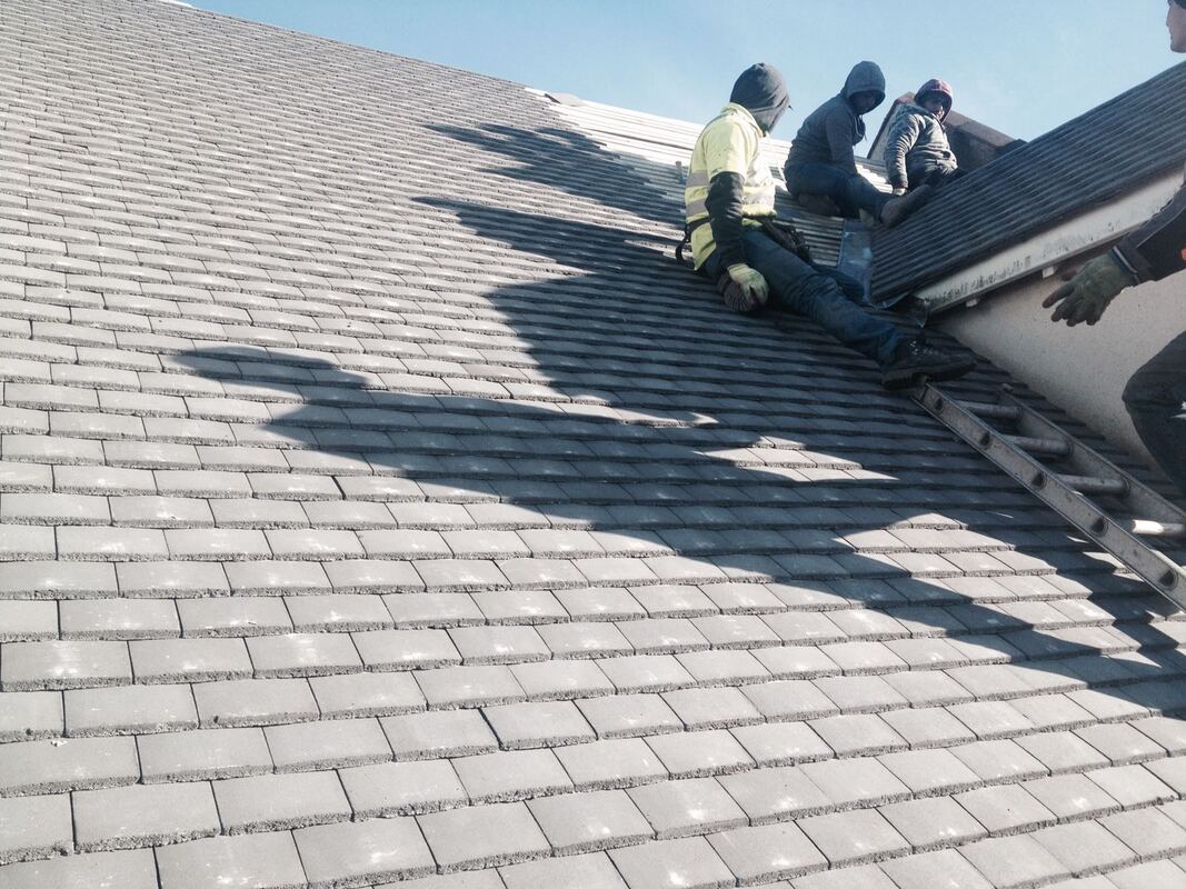 Roof Repairs project 5